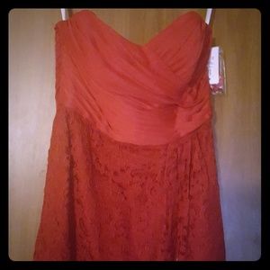 David's Bridal bridesmaid's dress color apple